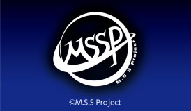 M.S.S Project