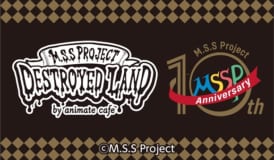 M.S.S Project