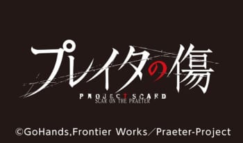 プレイタの傷